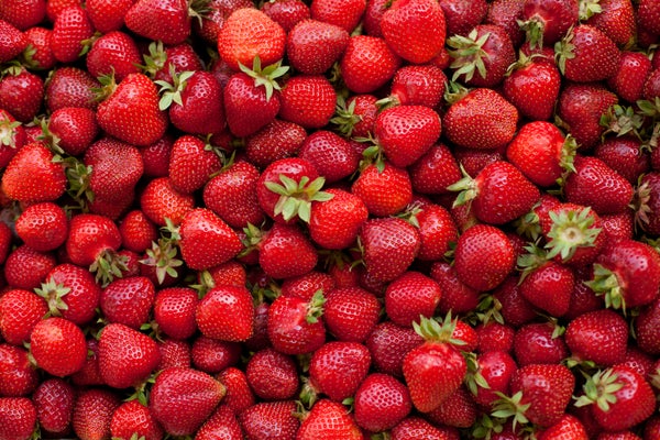 Bright red strawberries