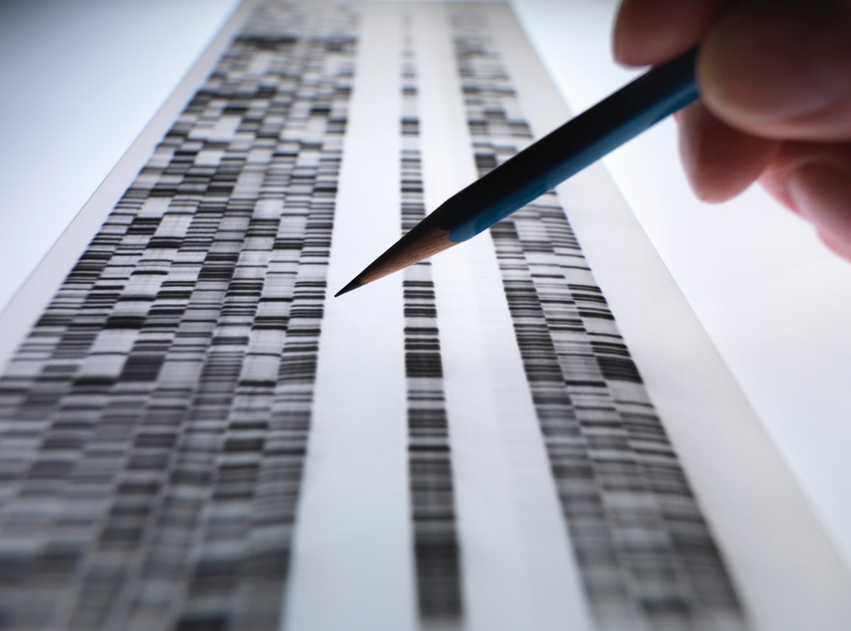 The Human Genome Was Never Completely Sequenced Scientific American