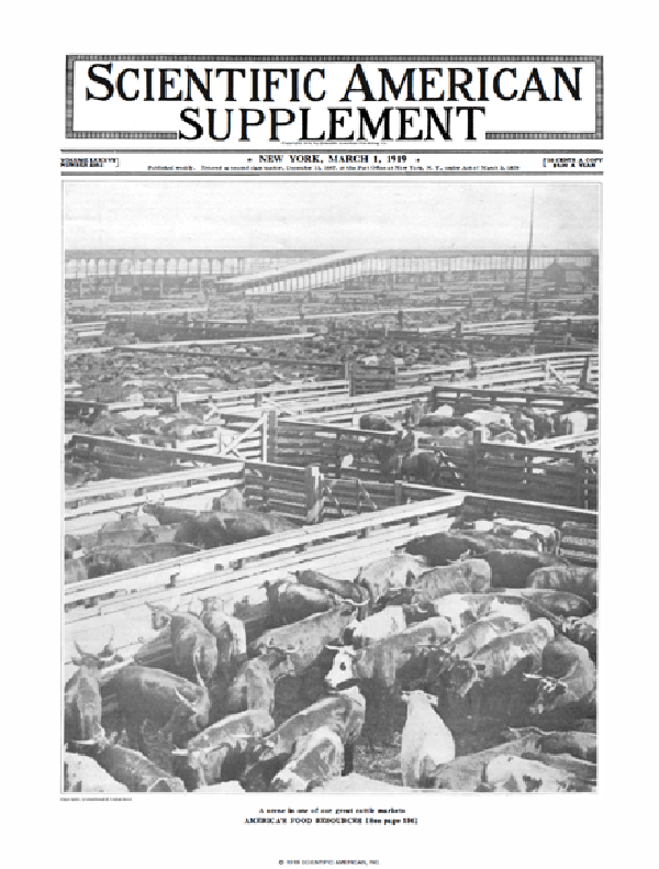 SA Supplements Vol 87 Issue 2252supp
