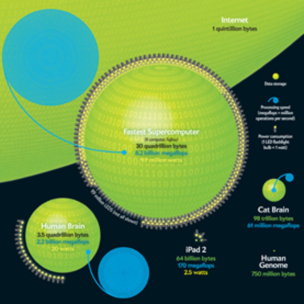 Computers versus Brains | Scientific American