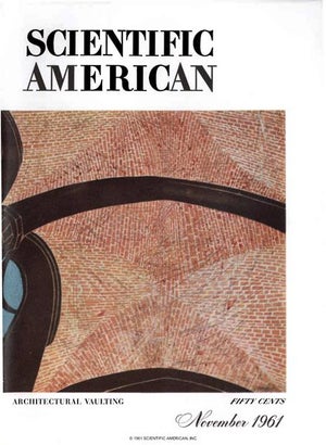 Scientific American Magazine Vol 205 Issue 5