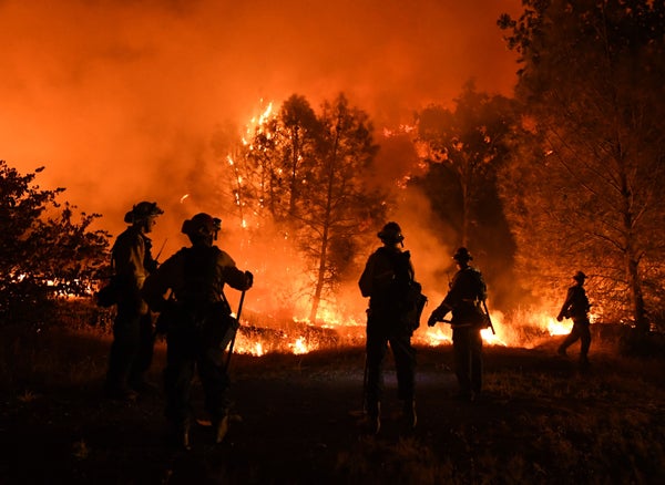 4 firefighters in front of fire and tree landscape