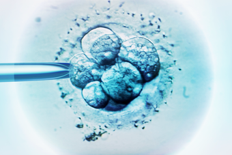 Japan Set to Allow Gene Editing in Human Embryos