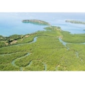 Mahajamba Bay