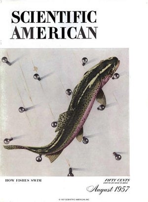 Scientific American Magazine Vol 197 Issue 2