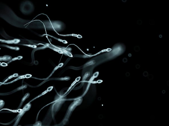 France Eyes Legalizing Assisted Reproduction for Gay Women in 2018