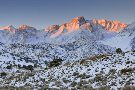 sierra nevada