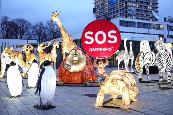 Greenpeace animals on illuminated plaza with SOS sign