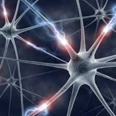 Earlier Model of Human Brain's Energy Usage Underestimated Its Efficiency