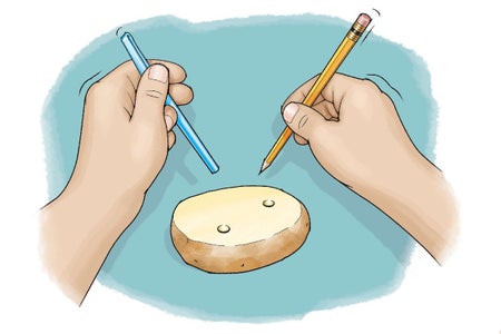 Scientific American Logo