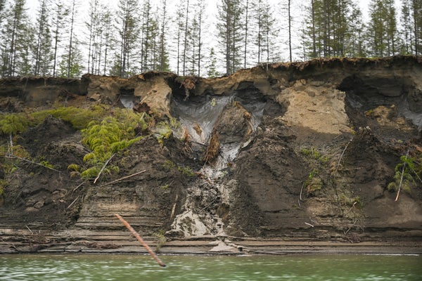 Permafrost collapses into a river.