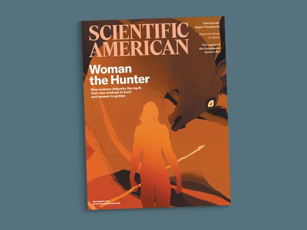 Cover of the November 2023 issue of Scientific American.