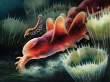 Five-Eyed, Nozzle-Nosed Oddity Lingered Far beyond the Cambrian Period