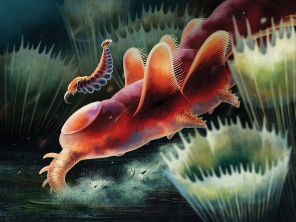 Five-Eyed, Nozzle-Nosed Oddity Lingered Far beyond the Cambrian Period -  Scientific American