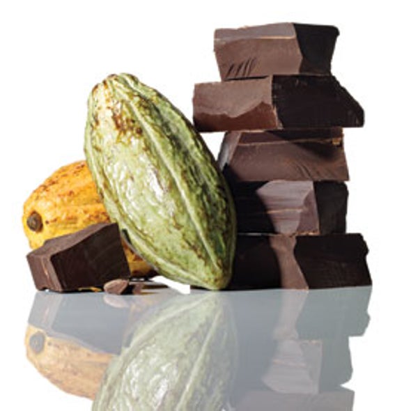 The Future of Chocolate Scientific American