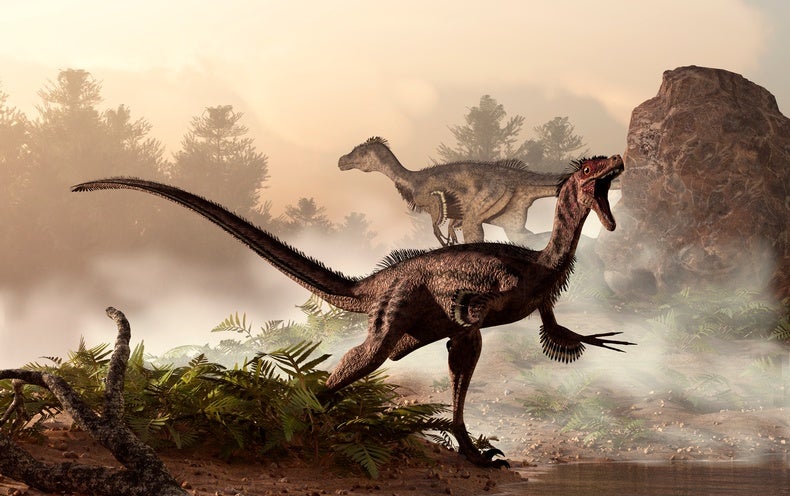 How Dinosaurs Shrank and Became Birds - Scientific American