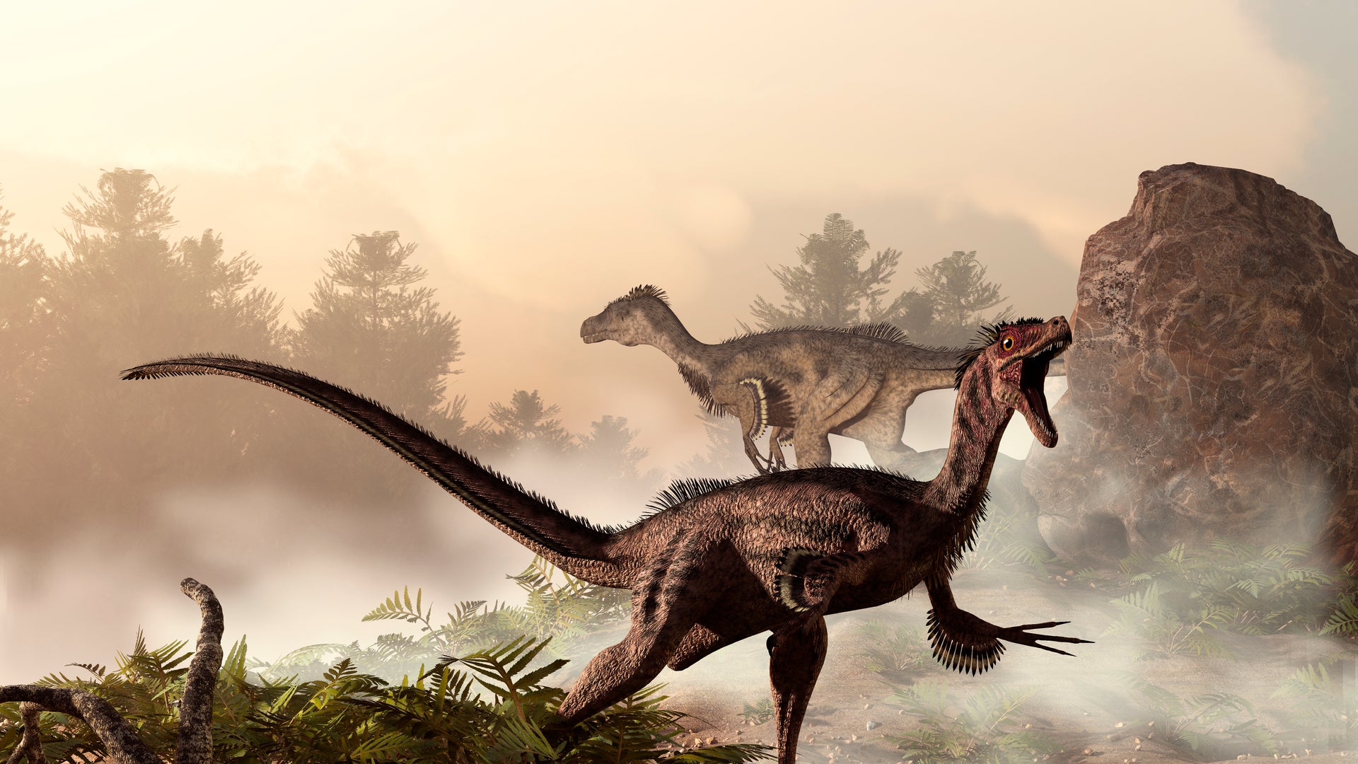 How Dinosaurs Shrank and Became Birds | Scientific American