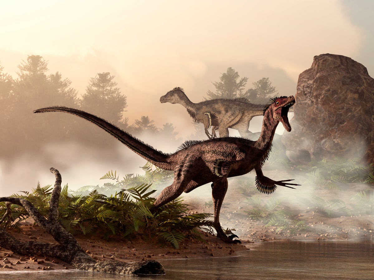 Dinosaur feathers may have been more birdlike than previously thought