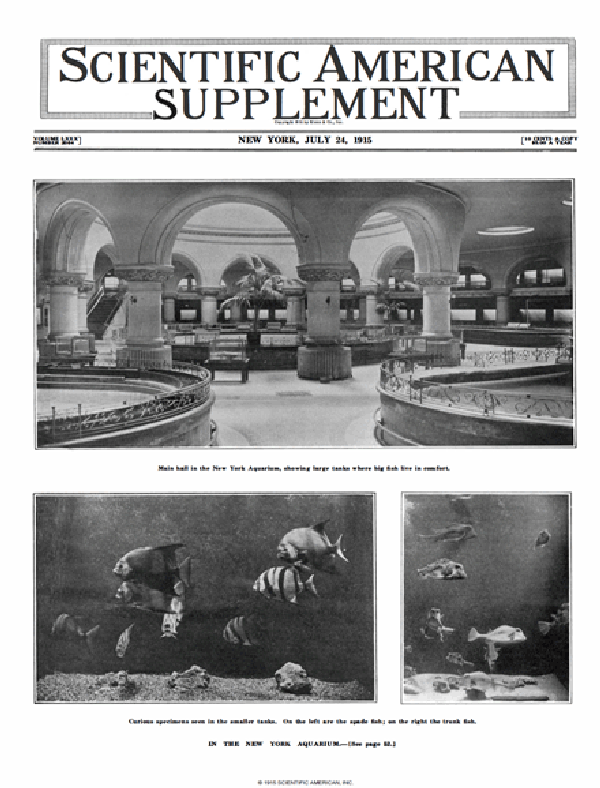 SA Supplements Vol 80 Issue 2064supp