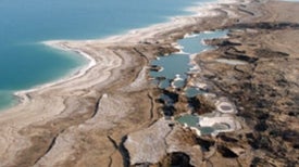 Can the Dead Sea Live?