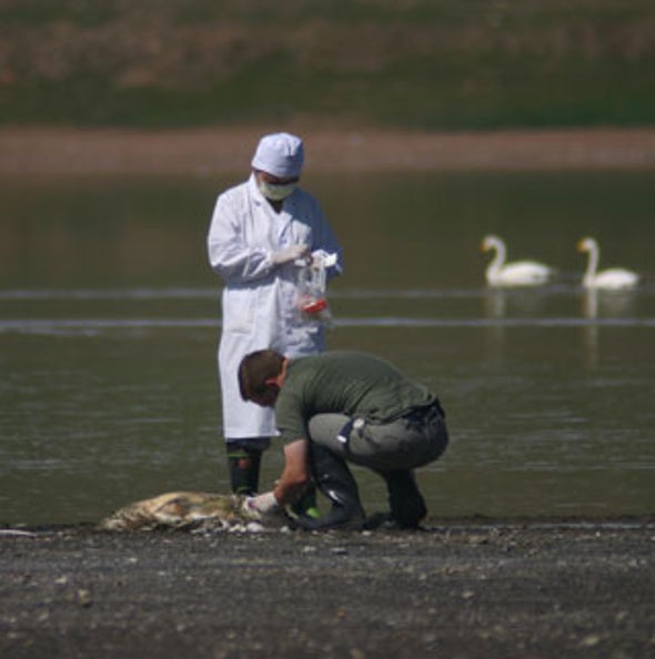 Deadly by the Dozen: 12 Diseases Climate Change May Worsen