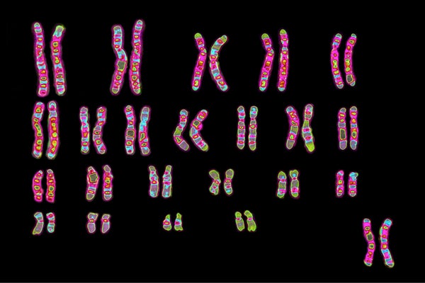 Human karyotype (female)