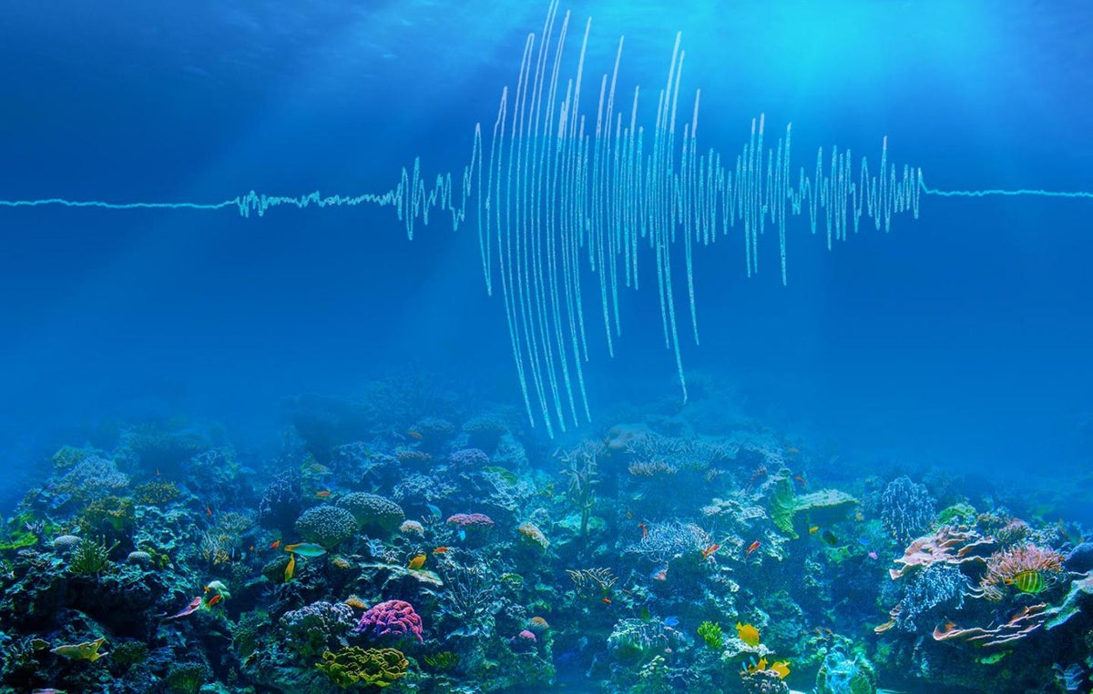 Undersea Earthquakes Reveal Sound Warming Info