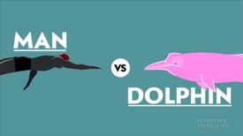 An Olympic Showdown: Human versus Dolphin