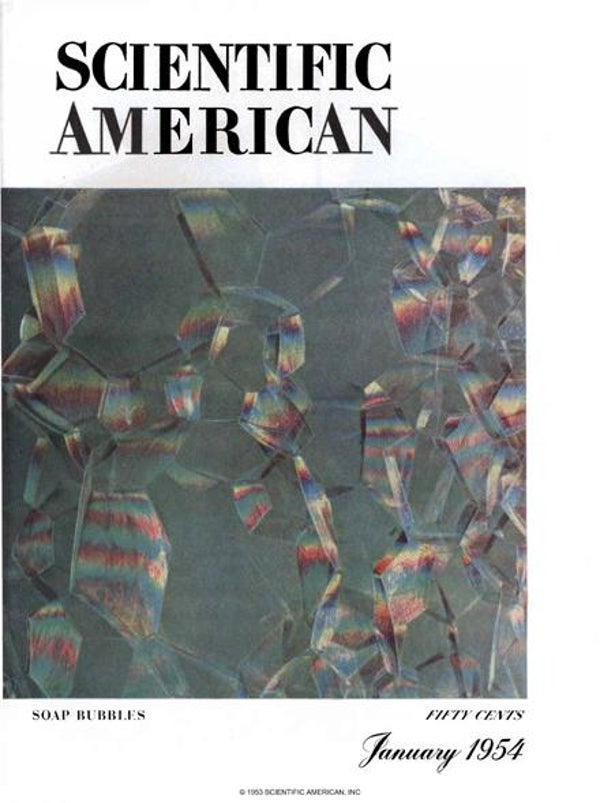 Scientific American Magazine Vol 190 Issue 1