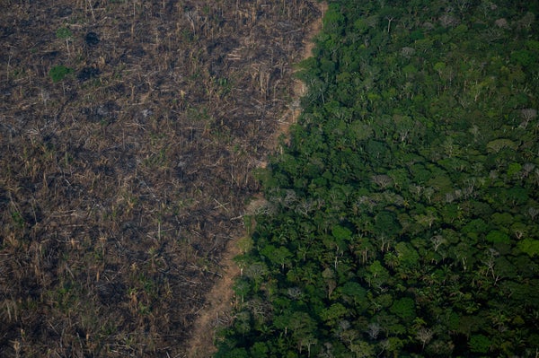 Aerial view of deforested rainforest