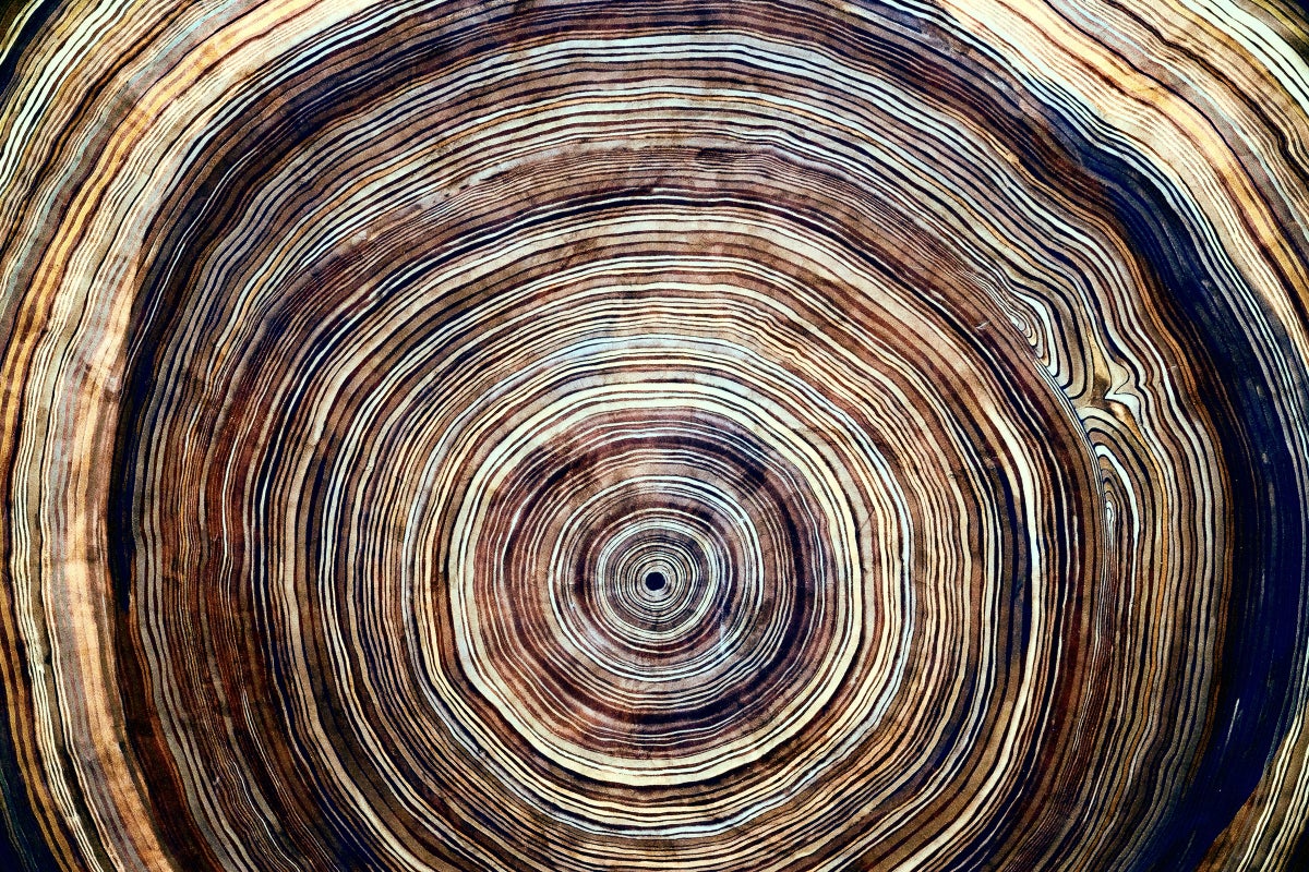 Circle Wood