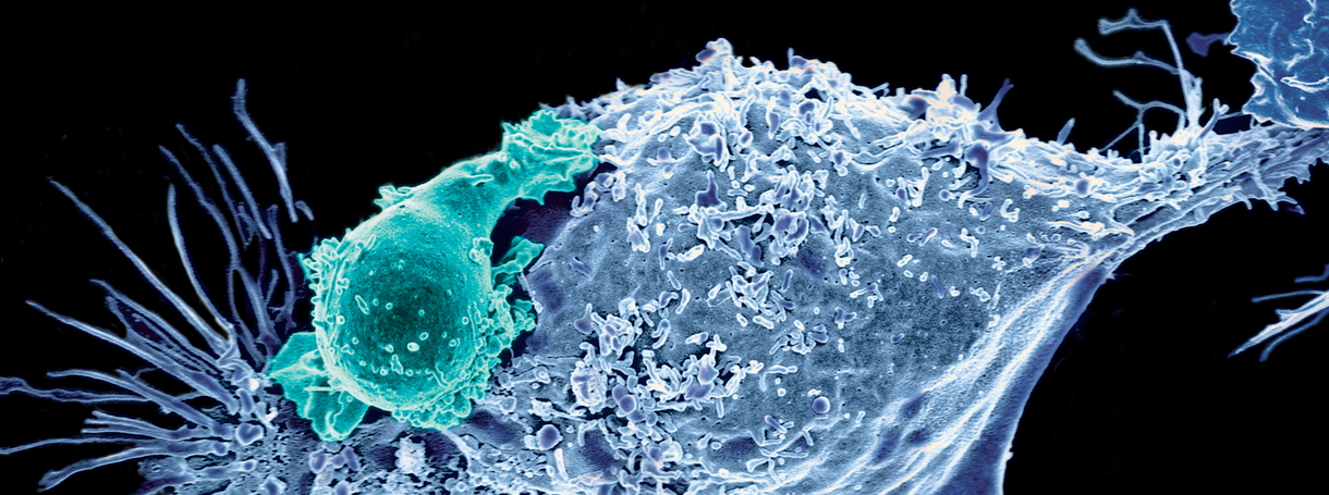 At Cancer's Leading Edge