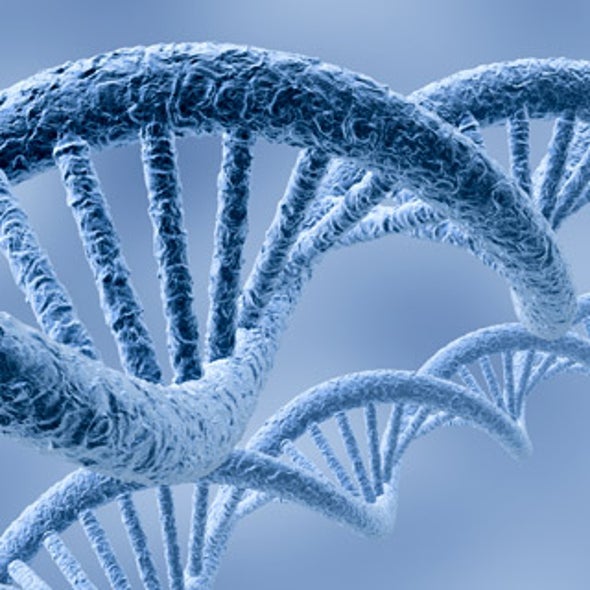 Are There Missing Pieces to the Human Genome Project?