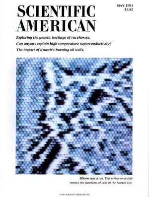 Scientific American Magazine Vol 264 Issue 5