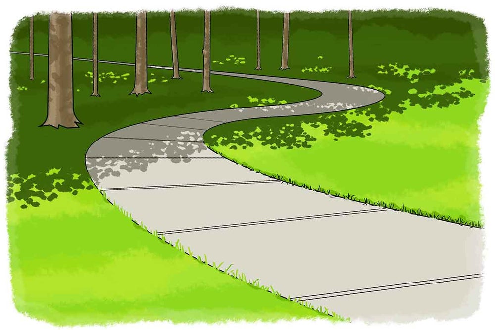 Warm in the Sun Scientific American