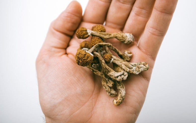 Psilocybin Therapy May Work As Well As Common Antidepressant Scientific American