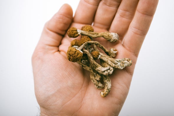 Psilocybin Therapy May Work as Well as Common Antidepressant