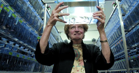 BIOLOGIST Nancy Hopkins