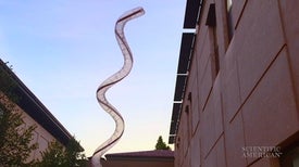 Soft Robot Moves by Mimicking Plants
