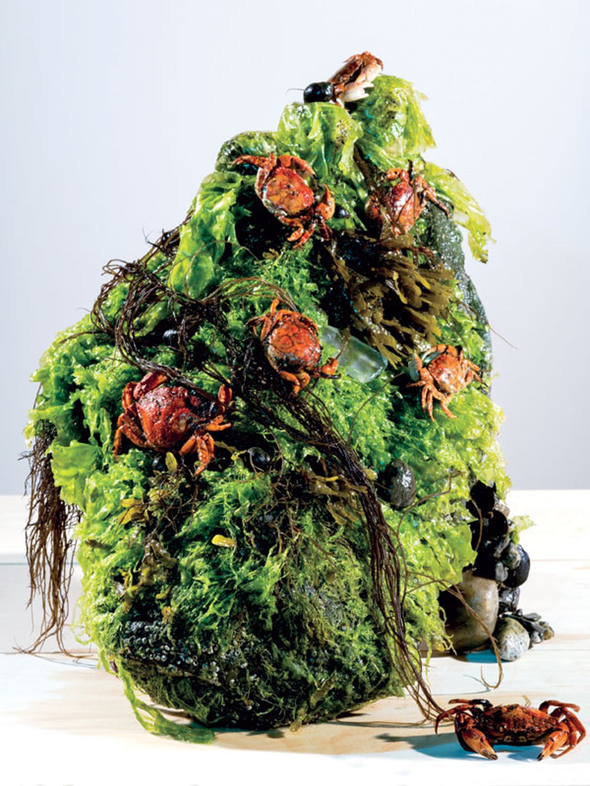 A Top Chefs Recipes for Eating Invasive Species Biology Diagrams