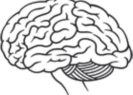 ask the brains, brain
