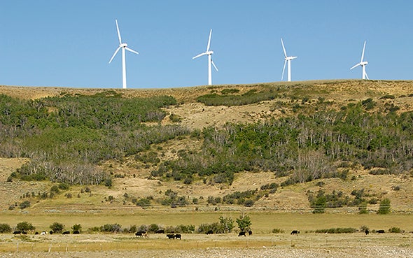 Red States Rank among Renewable Energy Leaders