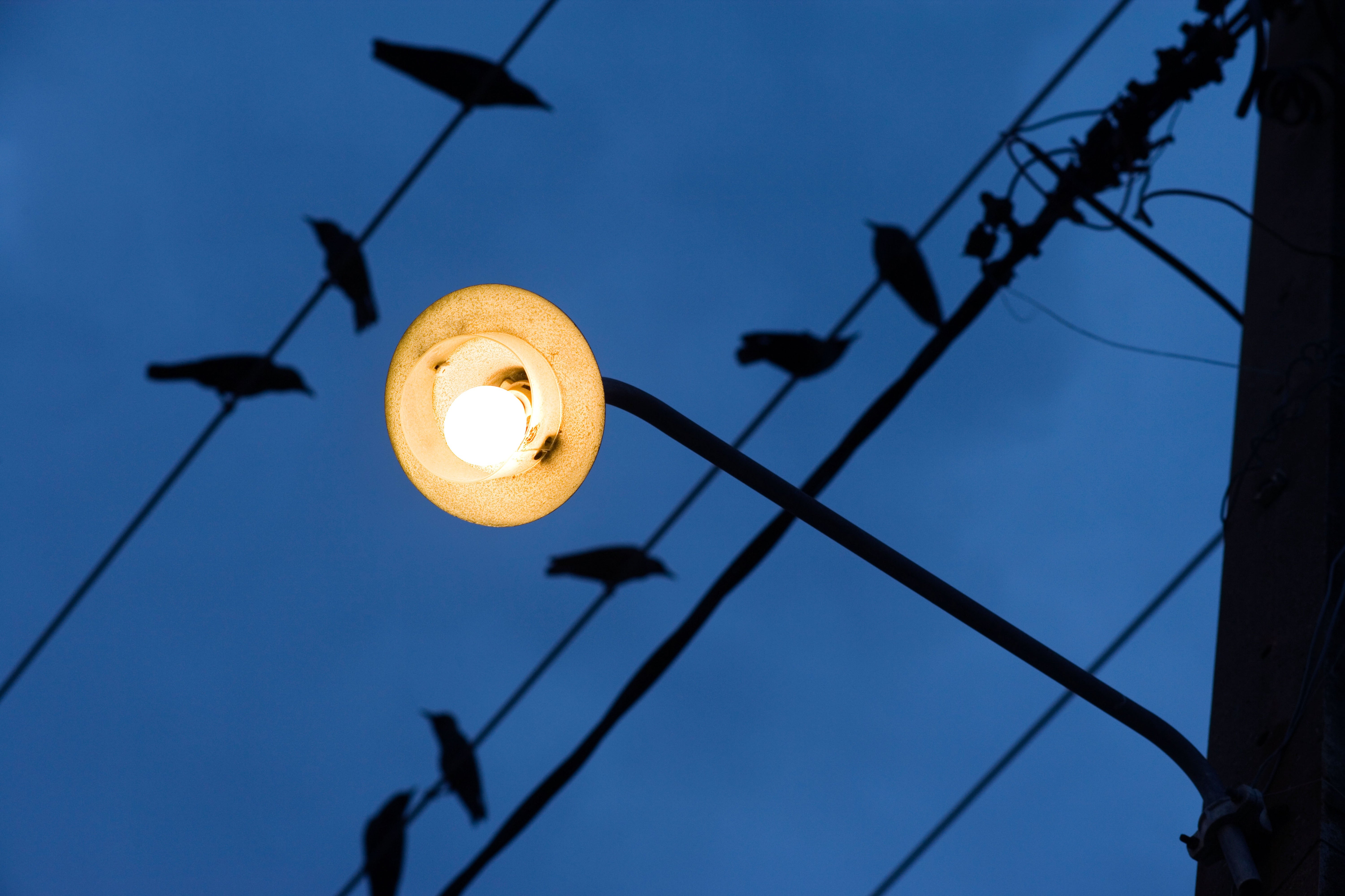 Yellow Street Lamp