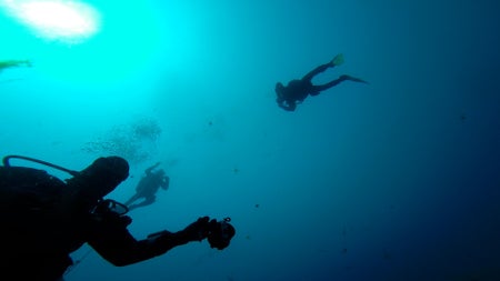 A view looking up at three divers coming downward from the surface of Lake Huron above