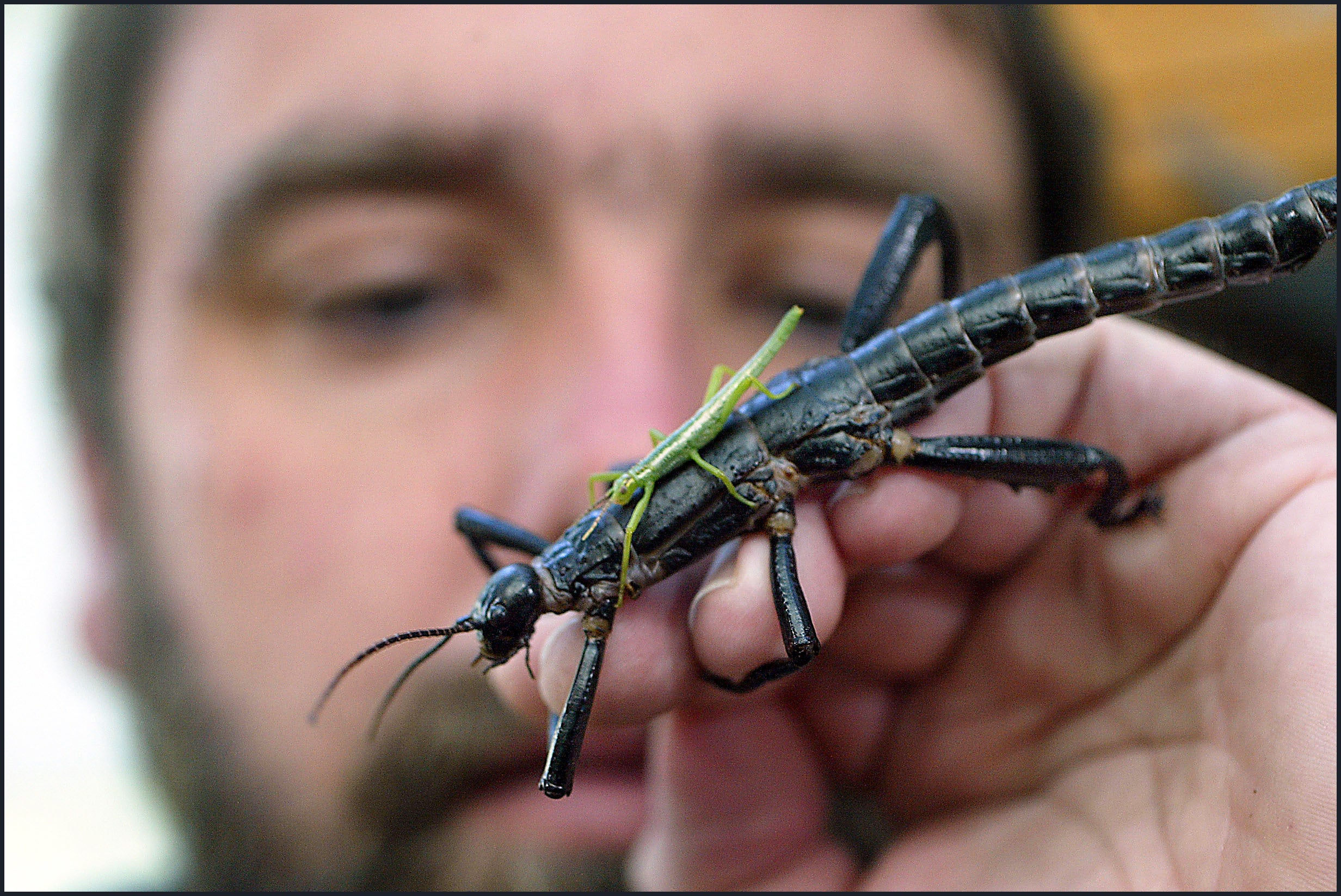 Scientists Launch Worldwide Search For Lost Species [Slide Show ...