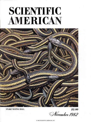 Scientific American Magazine Vol 247 Issue 5