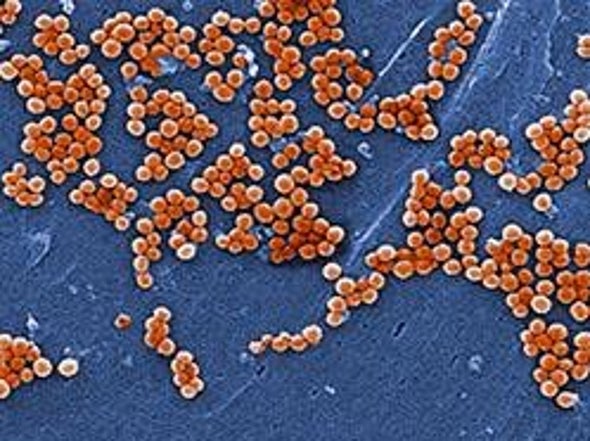 London Is Crawling with Drug-Resistant Microbes