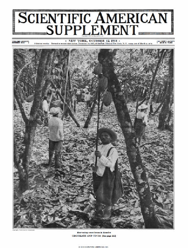 SA Supplements Vol 86 Issue 2232supp
