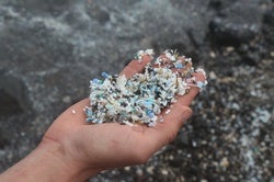 A Journey into the Pacific Garbage Patch [Slide Show]