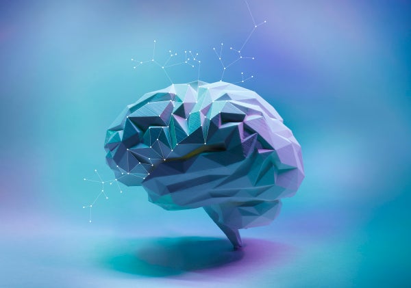 Colorful blue and pink low poly side view human brain with connection dots.